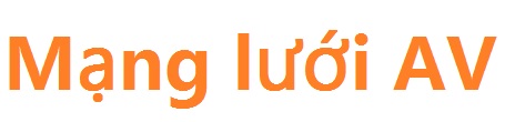 Mạng lưới AV